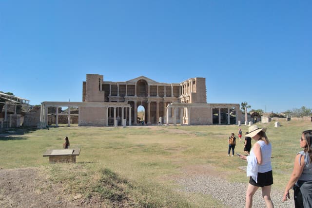 The gymnasium